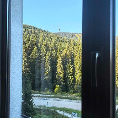Тайната Квартира - The Secret Apartment Pamporovo Dış mekan fotoğraf